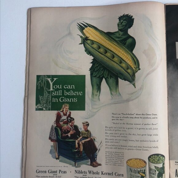 Life Magazine - Picture 7 of 16